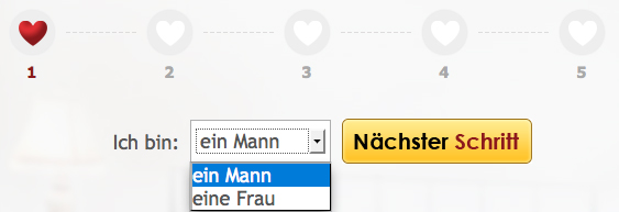 gibsmir.at login