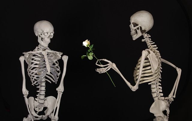 Online-Dating fuer Senioren