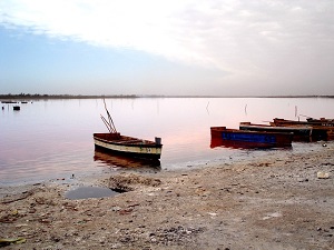 singlereise in den senegal