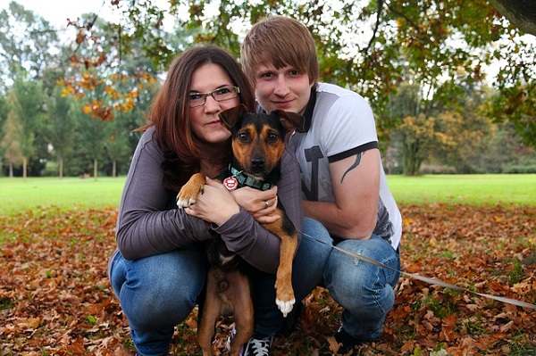 Zum Valentinstag die Datechancen mit Hund erhöhen