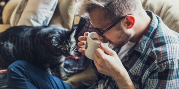 Katzenbesitzer floppen beim Online Dating